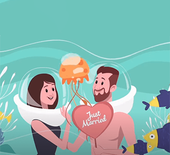 Promotional Video Graphics — Motion Design by WebexDigitals